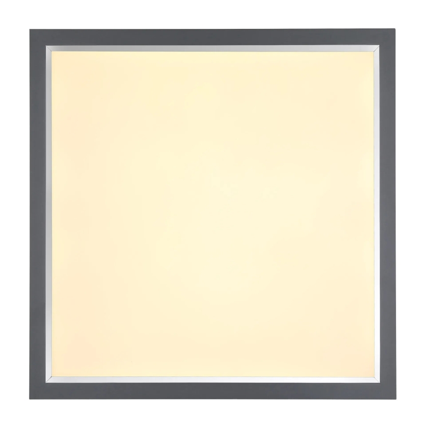 Globo - Plafón LED LED/24W/230V
