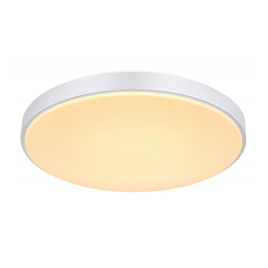 Globo - Plafón LED regulable LED/24W/230V + control remoto