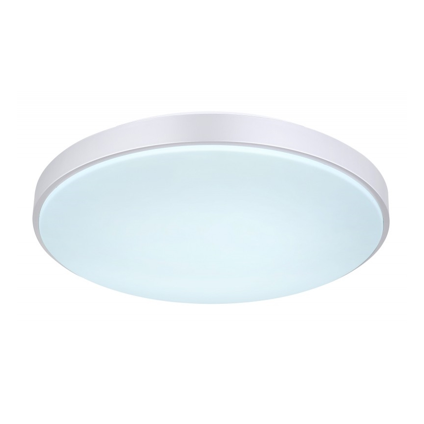 Globo - Plafón LED regulable LED/24W/230V + control remoto