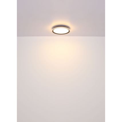 Globo - Plafón LED LED/39W/230V d. 40 cm