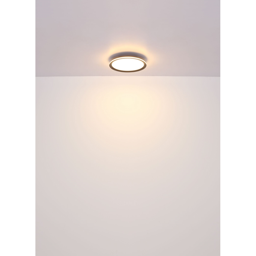Globo - Plafón LED LED/39W/230V d. 40 cm