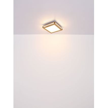 Globo - Plafón LED LED/12W/230V 30x30 cm