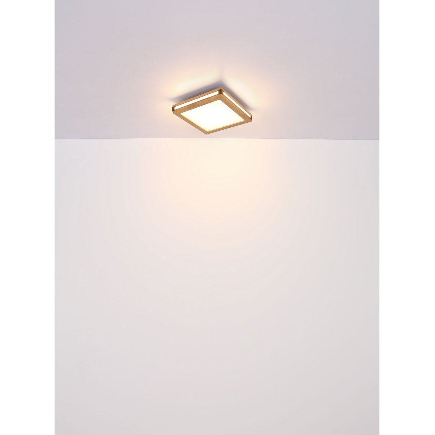 Globo - Plafón LED LED/12W/230V 30x30 cm