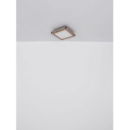 Globo - Plafón LED LED/12W/230V 30x30 cm