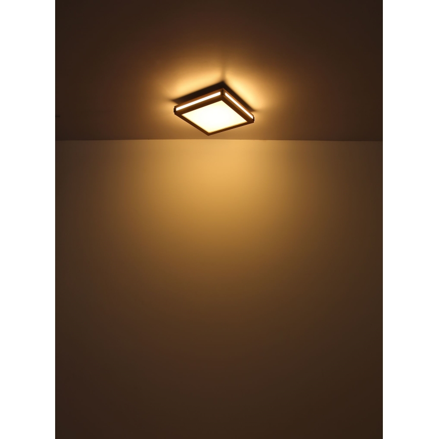Globo - Plafón LED LED/24W/230V 45x45 cm