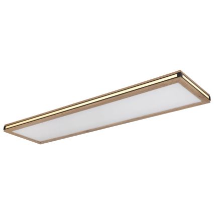 Globo - Plafón LED regulable LED/36W/230V 3000K 30x120 cm