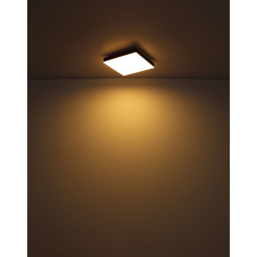 Globo - Plafón LED regulable LED/24W/230V 2700-6500K negro + control remoto