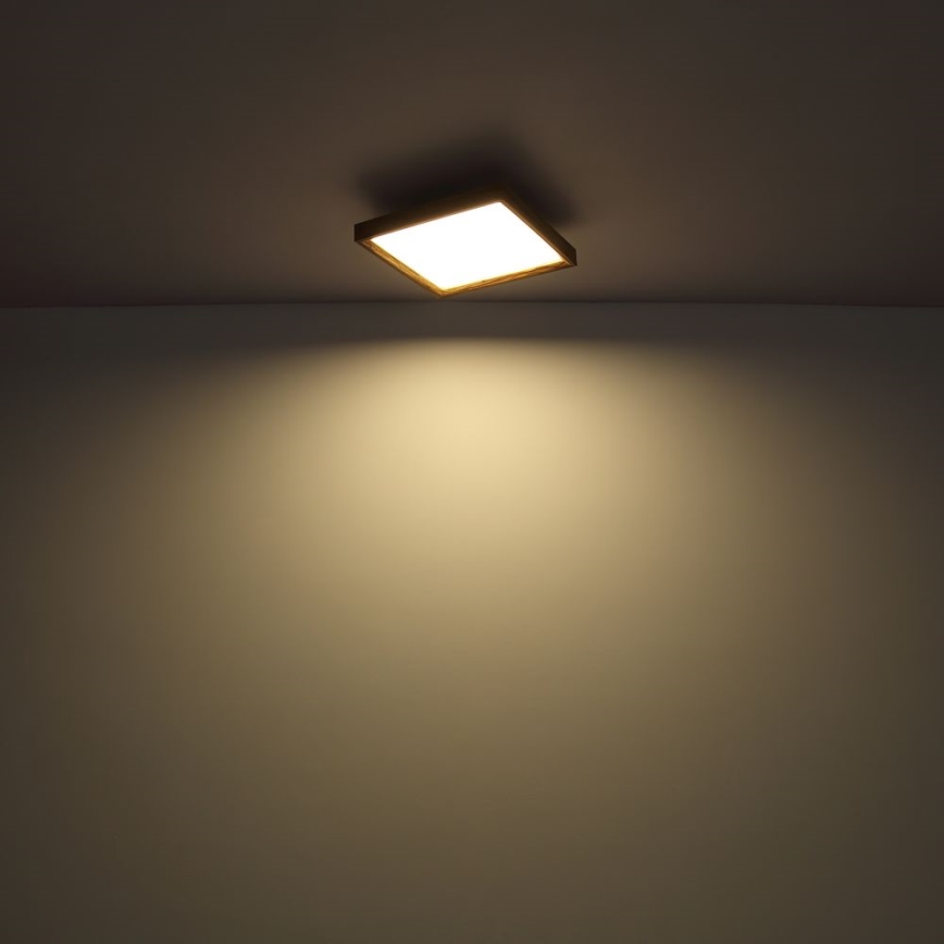 Globo - Plafón LED LED/24W/230V 45cm 2700/4500/6500K