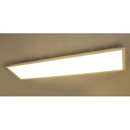 Globo - Panel colgante LED ROSI LED/40W/230V