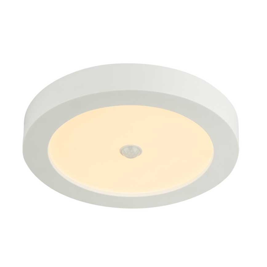 GLOBO 41605-18S - LED Plafón exterior con sensor PAULA 1xLED/18W/230V