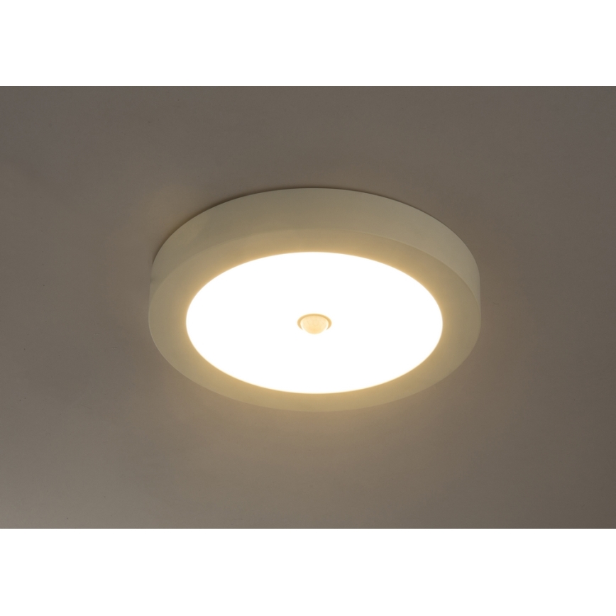 GLOBO 41605-18S - LED Plafón exterior con sensor PAULA 1xLED/18W/230V