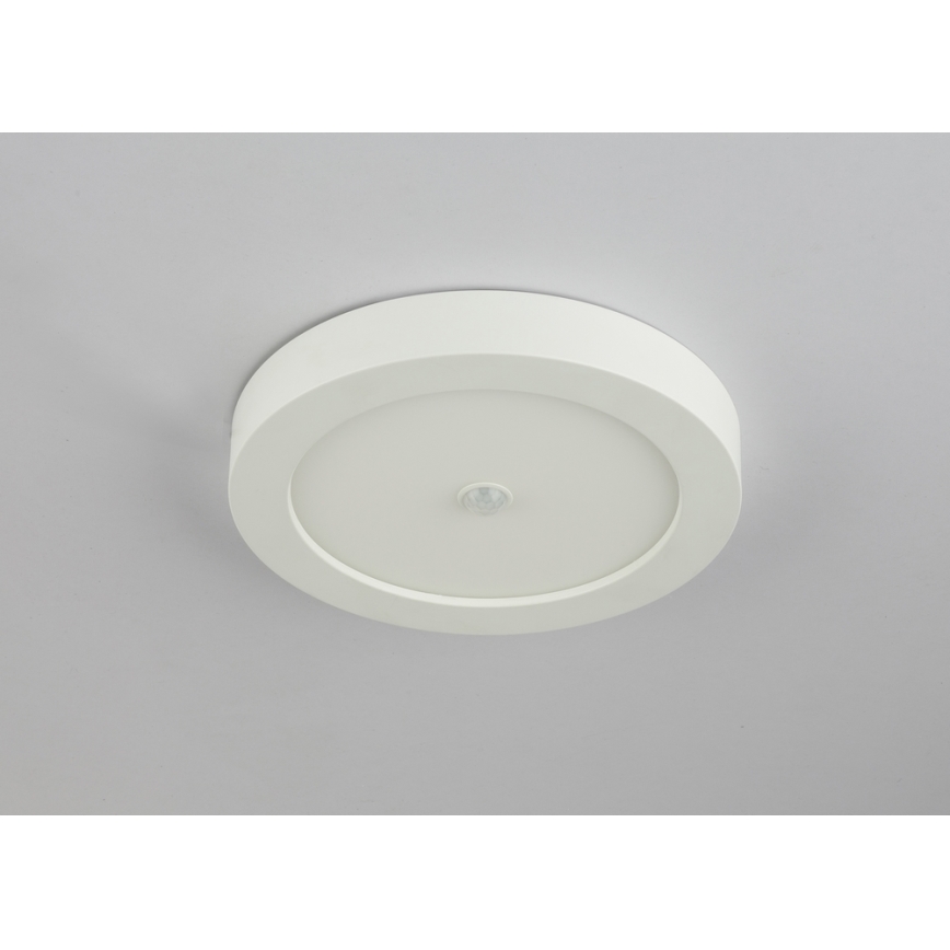GLOBO 41605-18S - LED Plafón exterior con sensor PAULA 1xLED/18W/230V