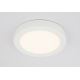 GLOBO 41605-24D - Iluminación LED regulable para el baño PAULA 1xLED/24W/230V
