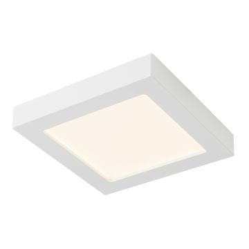 GLOBO - Plafón LED SVENJA 1xLED/24W/230V