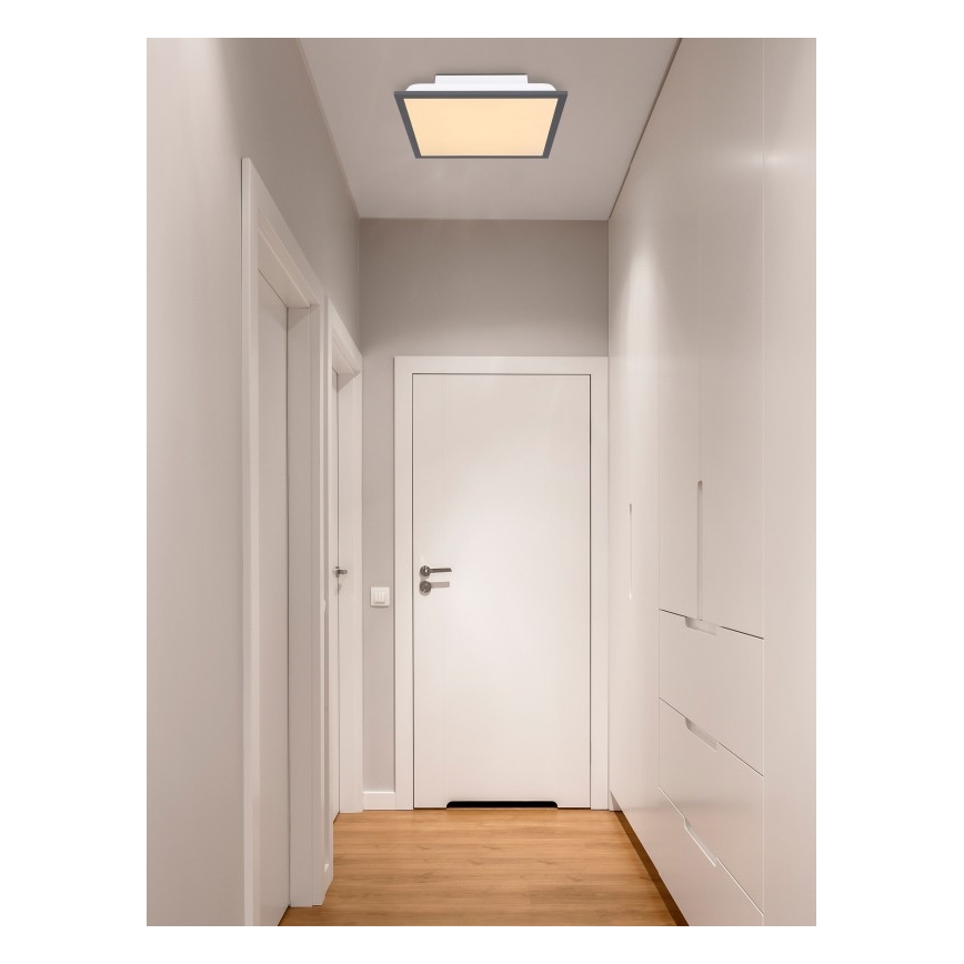 Globo - Plafón LED LED/12W + LED/4W/230V