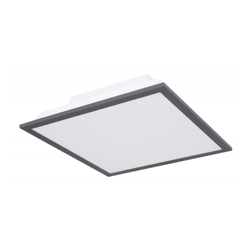 Globo - Plafón LED LED/12W + LED/4W/230V