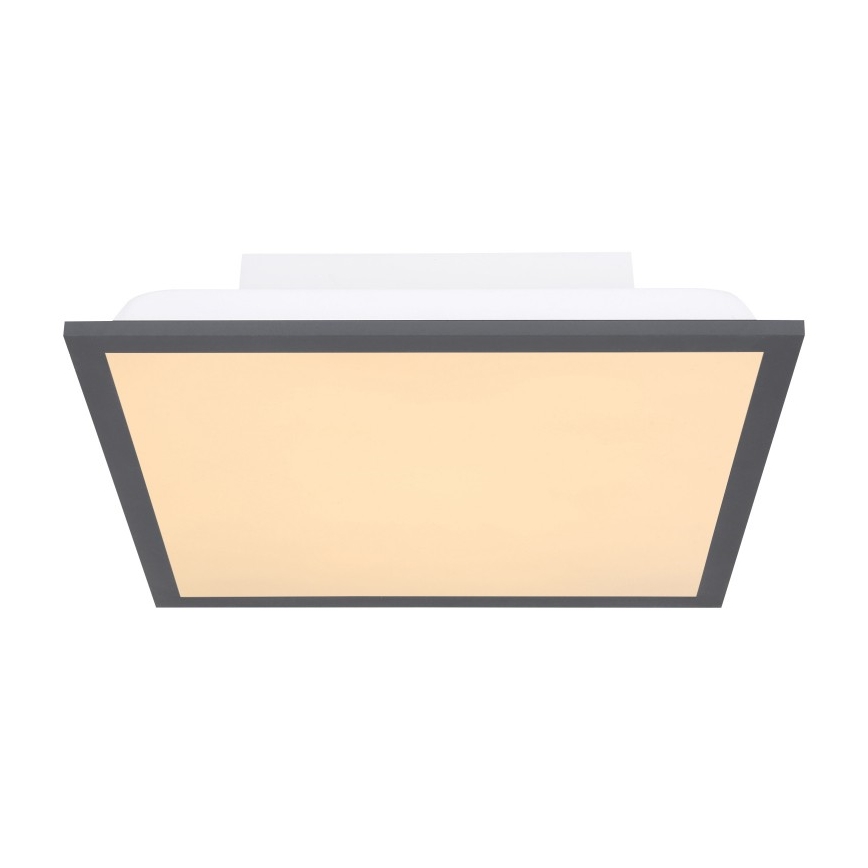 Globo - Plafón LED LED/12W + LED/4W/230V