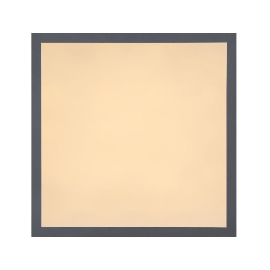 Globo - Plafón LED LED/12W + LED/4W/230V