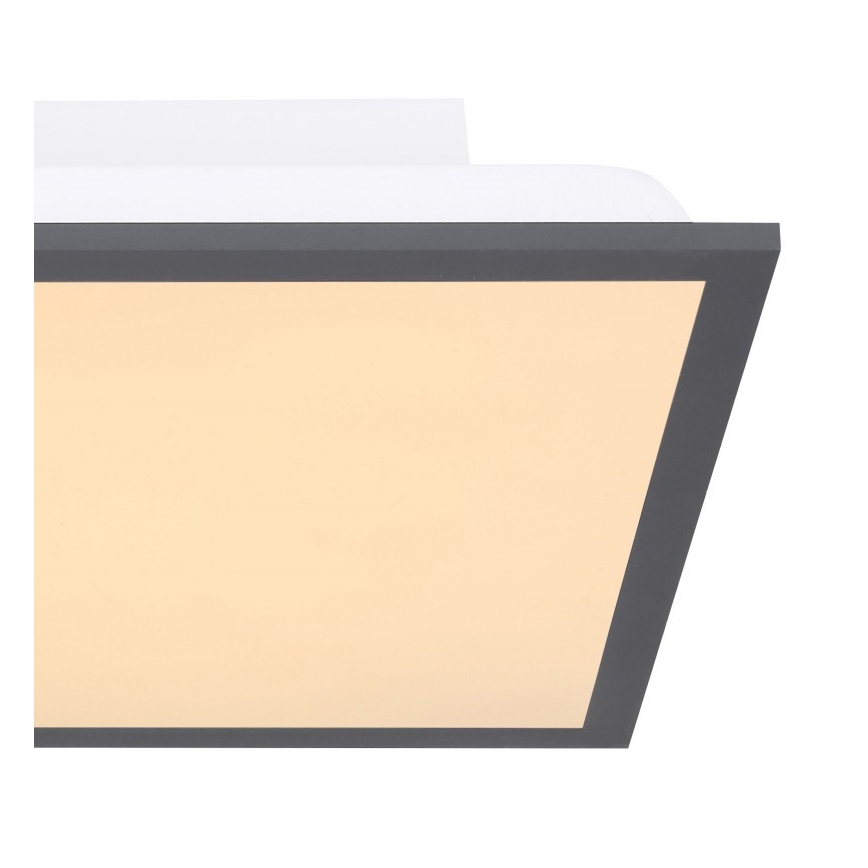 Globo - Plafón LED LED/12W + LED/4W/230V