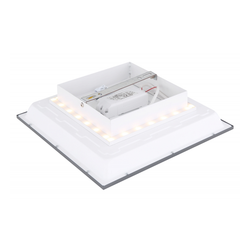 Globo - Plafón LED LED/12W + LED/4W/230V