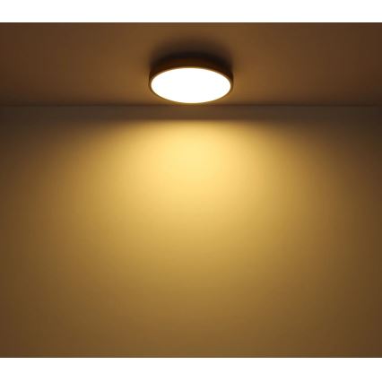 Globo - Plafón LED regulable LED/40W/230V 2700-6500K diá. 60 cm + control remoto marrón/gris