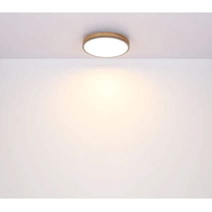 Globo - Plafón LED regulable LED/40W/230V 2700-6500K diá. 60 cm + control remoto marrón/gris