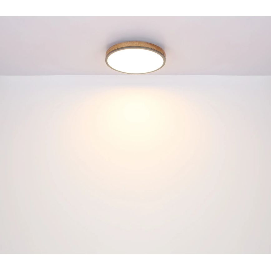 Globo - Plafón LED regulable LED/40W/230V 2700-6500K diá. 60 cm + control remoto marrón/gris