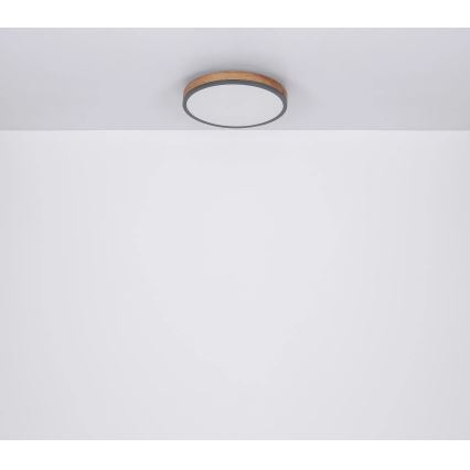 Globo - Plafón LED regulable LED/40W/230V 2700-6500K diá. 60 cm + control remoto marrón/gris