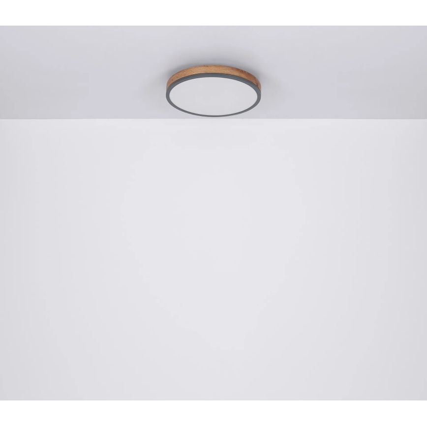 Globo - Plafón LED regulable LED/40W/230V 2700-6500K diá. 60 cm + control remoto marrón/gris