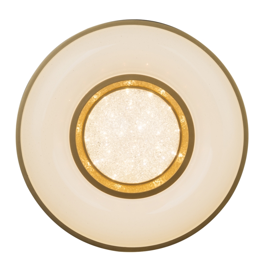 Globo - Plafón LED LED/24W/230V