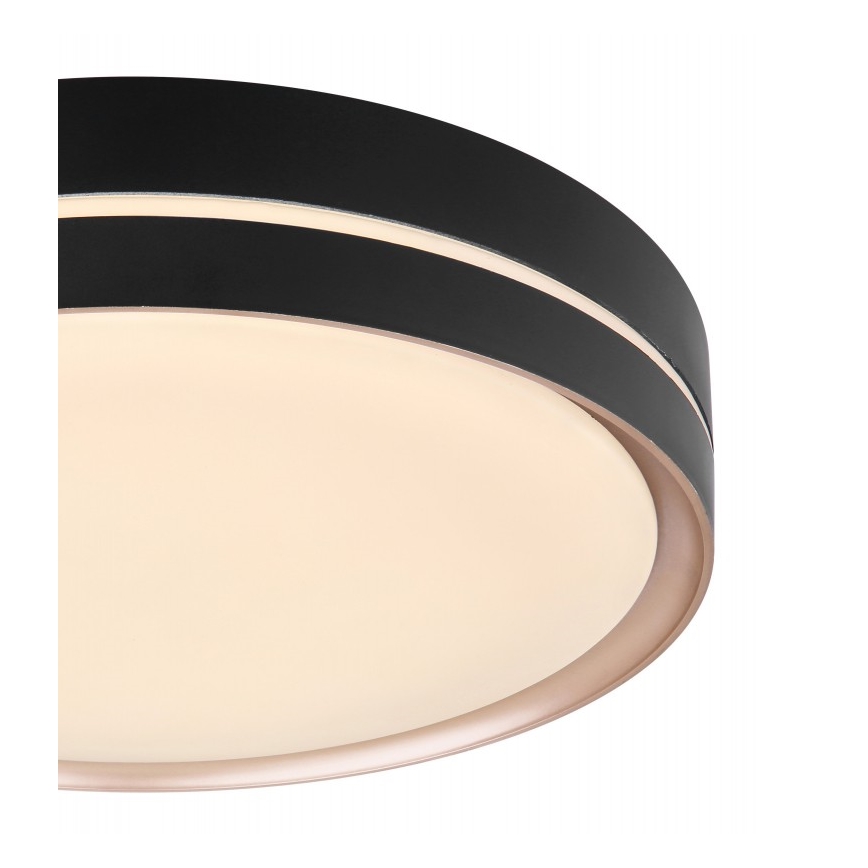 Globo - Plafón LED regulable LED/24W/230V + control remoto
