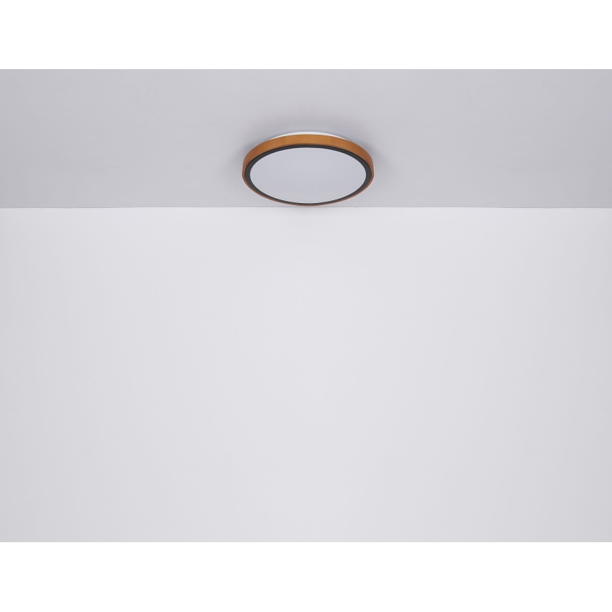Globo - Plafón LED LED/12W/230V 3000/4500/6000K diá. 30 cm