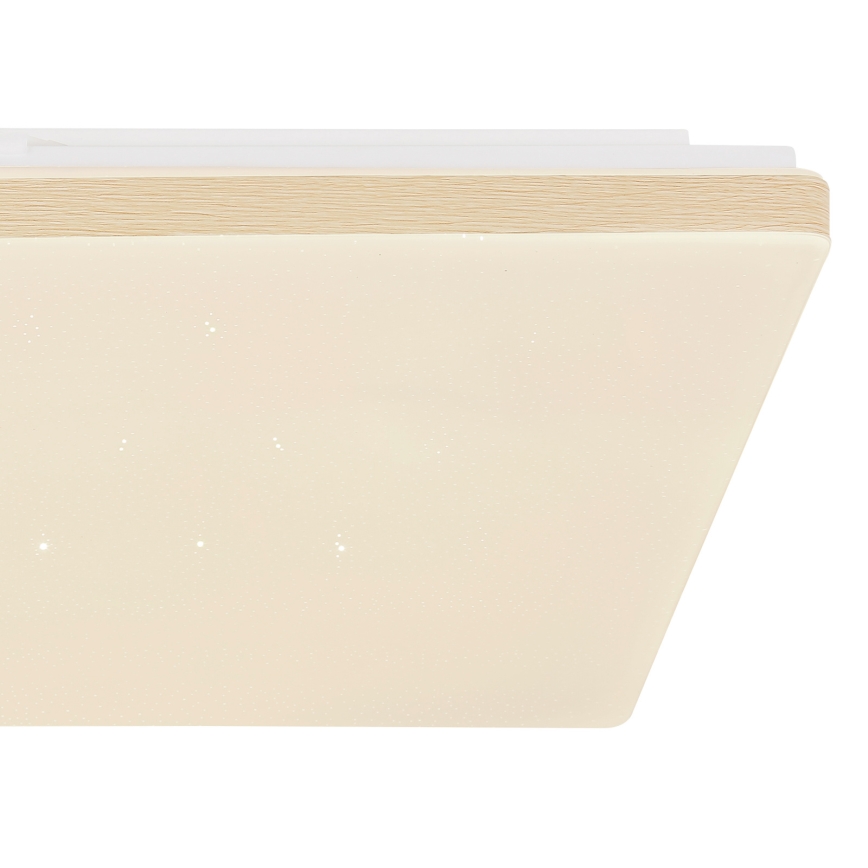 Globo - Plafón LED regulable LED/24W/230V Wi-Fi Tuya + CR