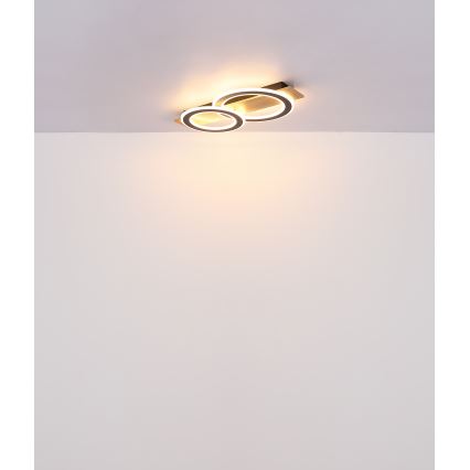 Globo - Plafón LED LED/40W/230V marrón