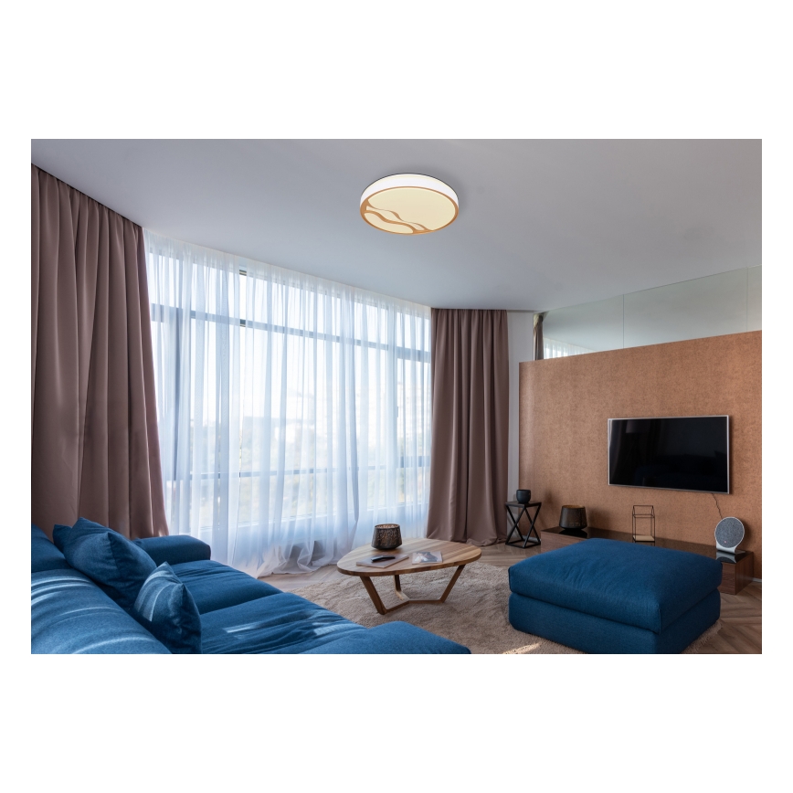 Globo - Plafón LED regulable LED/30W/230V 2700K/4000K/6500K + mando a distancia