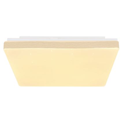 Globo - Plafón LED LED/12W/230V