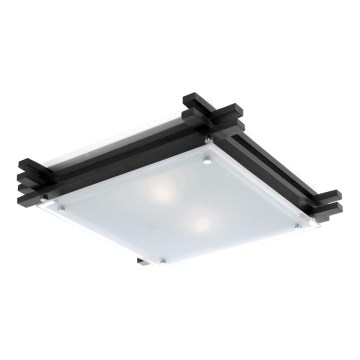 GLOBO 48324-2 - Plafón EDISON 2xE27/60W/230V