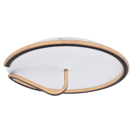 Globo - Plafón LED regulable RODAN LED/50W/230V 3000-6000K + control remoto