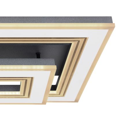 Globo - Plafón LED regulable LED/50W/230V 2700-6000K + control remoto