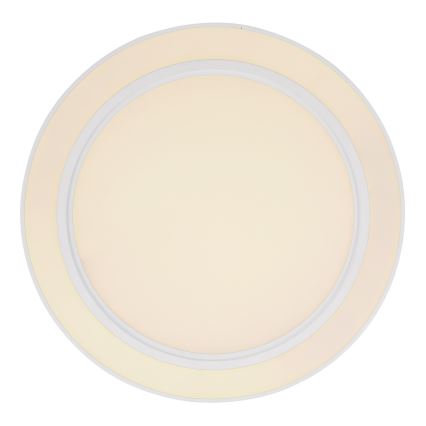 Globo - LED RGB Plafón regulable LED/26W/230V + LED/26W + control remoto