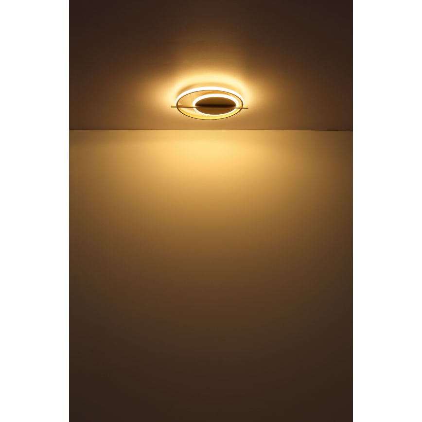 Globo - Plafón LED LED/36W/230V