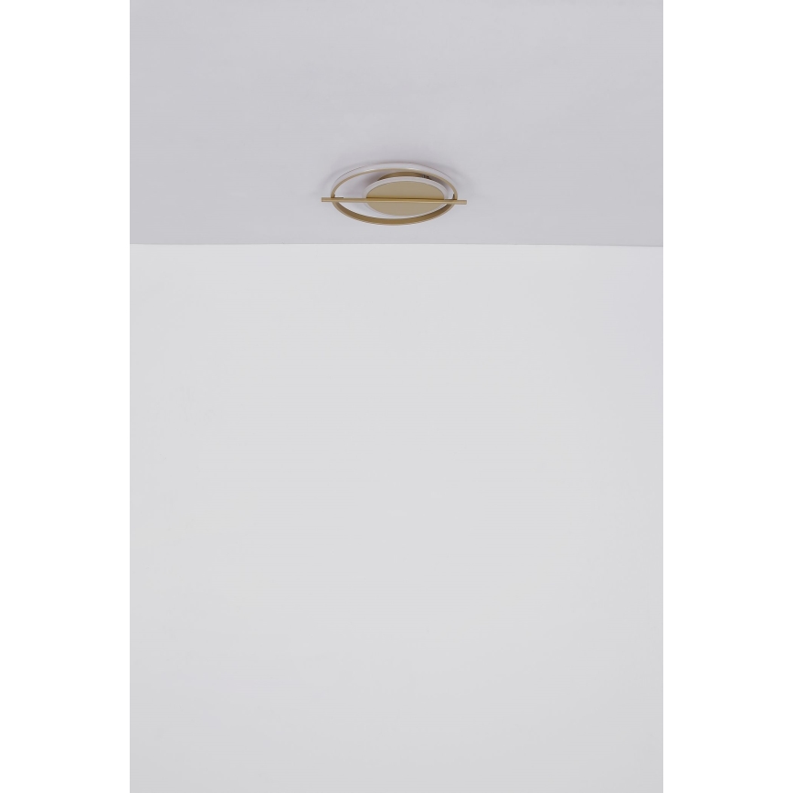 Globo - Plafón LED LED/36W/230V