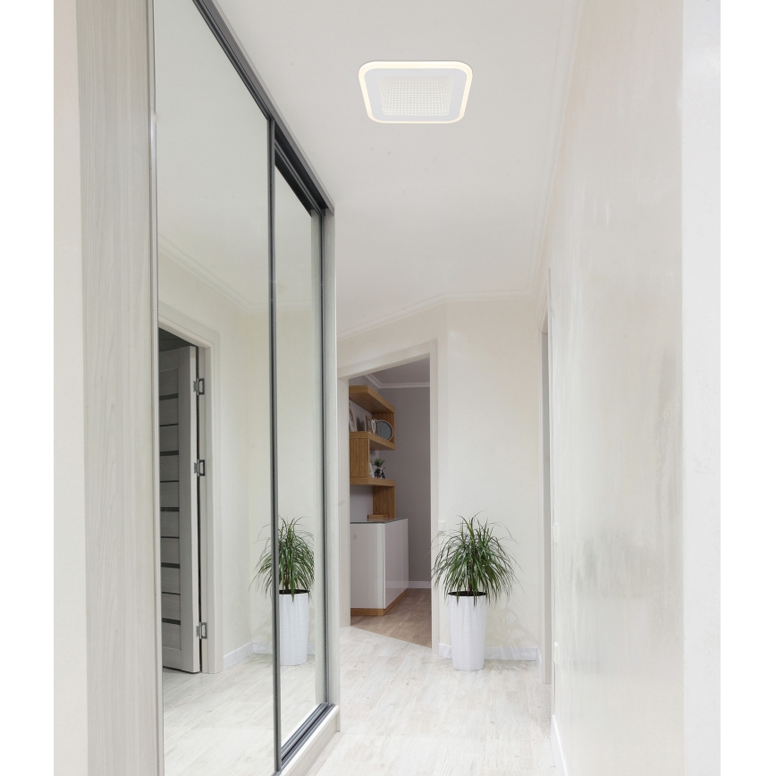 Globo - Plafón LED LED/12W/230V 4000K