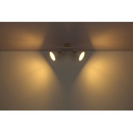 Globo - Foco 2xE27/40W/230V