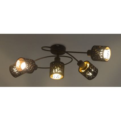 Globo - Lámpara de araña de luces de superficie 5xE14/8W/230V