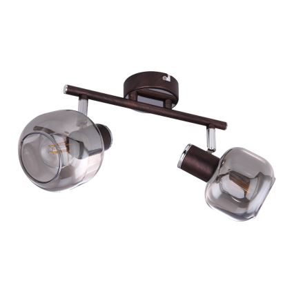 Globo 54303-2 - Foco PALLO 2xE14/40W/230V