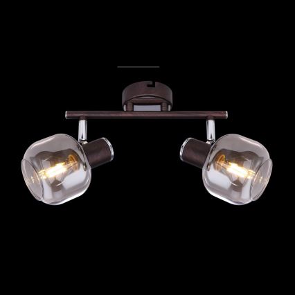 Globo 54303-2 - Foco PALLO 2xE14/40W/230V