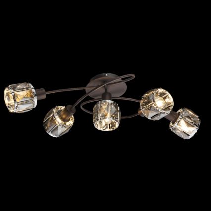 Globo - Lámpara de araña de luces de superficie 5xE14/40W/230V