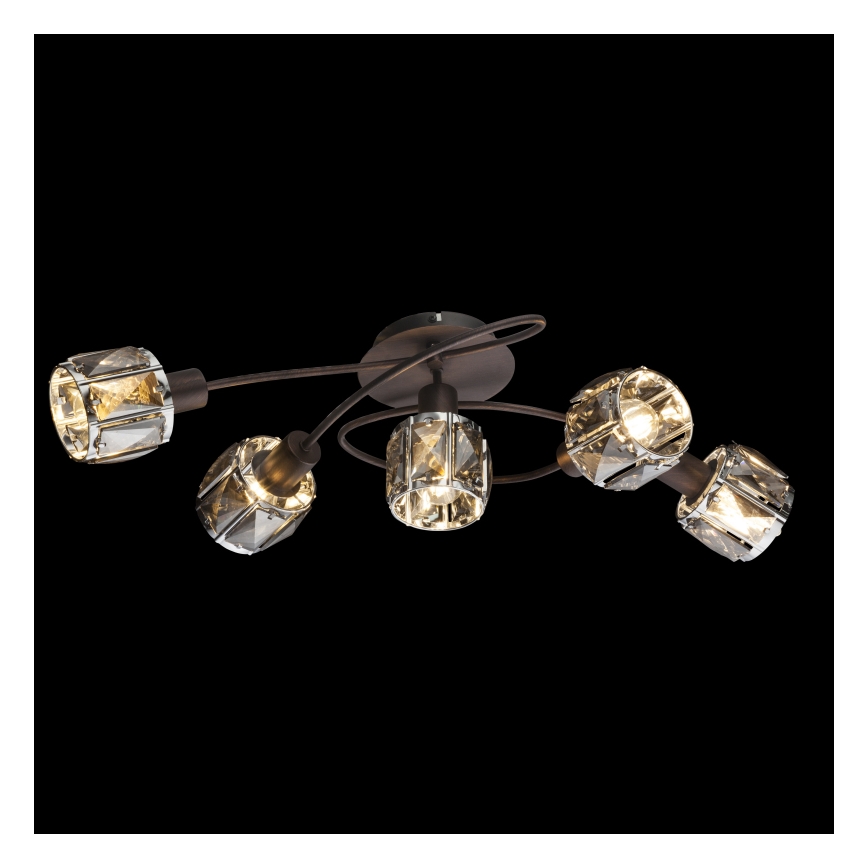 Globo - Lámpara de araña de luces de superficie 5xE14/40W/230V