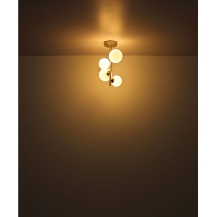 Globo - Lámpara colgante LED 4xG9/3W/230V cromo mate
